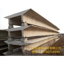 加工混凝土雙T板，大型預(yù)應(yīng)力雙T板，山東雙T板