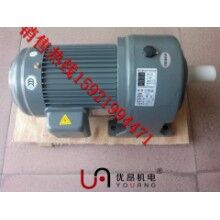 供應(yīng)商直銷(xiāo)GH28-750-10S臥式齒輪減速電機(jī)   宜賓，樂(lè)山三相減速電機(jī)價(jià)格
