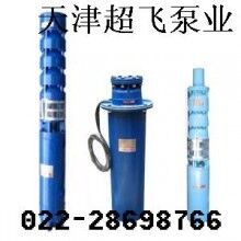 天津潛水電機(jī)，天津潛水泵