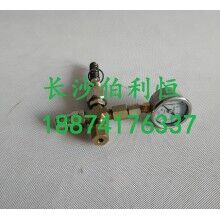 批發(fā)原裝正品攪拌機(jī)配件，三一JX3000潤滑油泵芯