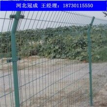 雙邊絲護欄網_雙邊絲護欄網規(guī)格_雙邊絲護欄網廠家